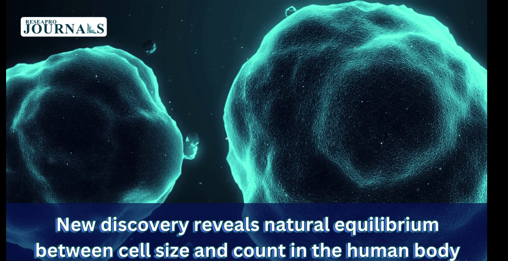 Scientists unveil intriguing mathematical pattern within human cells