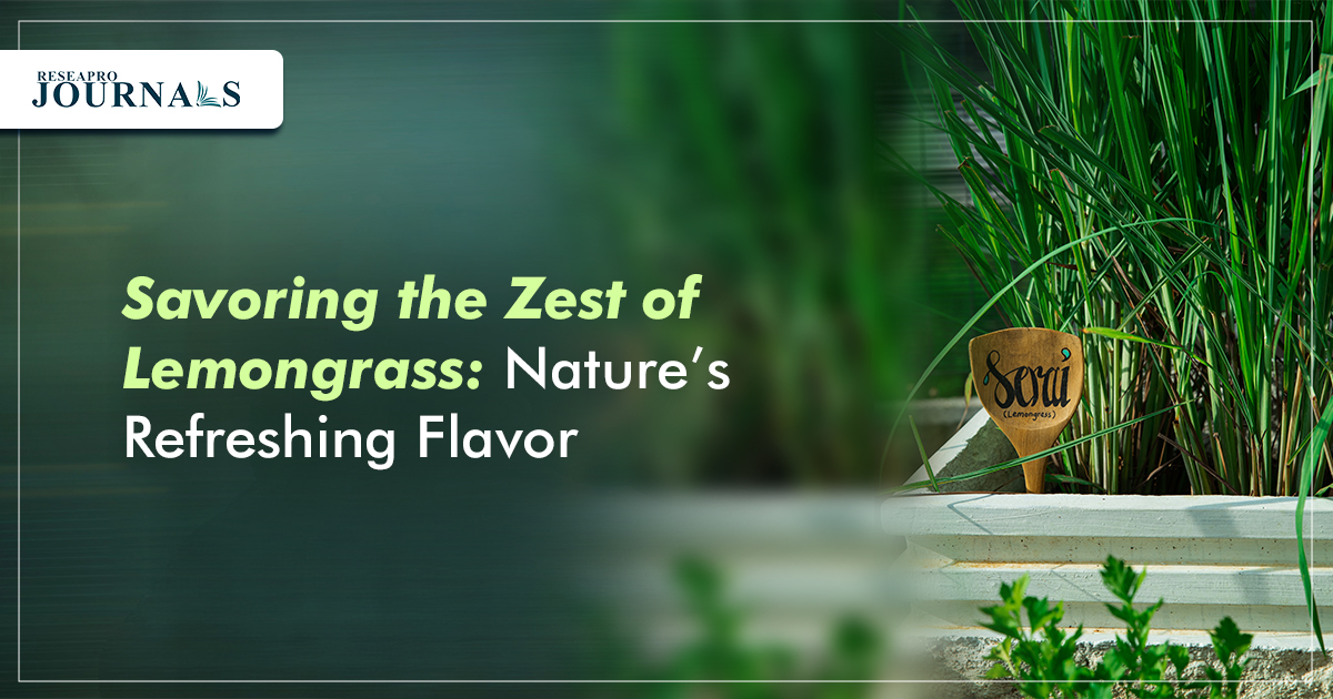 Savoring the Zest of Lemongrass: Nature’s Refreshing Flavor