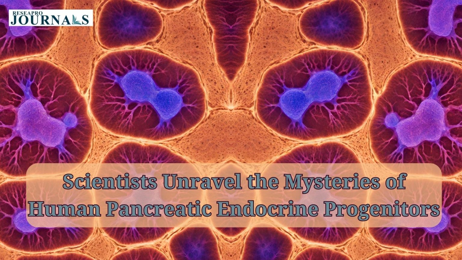 scientists-unravel-the-mysteries-of-human-pancreatic-endocrine