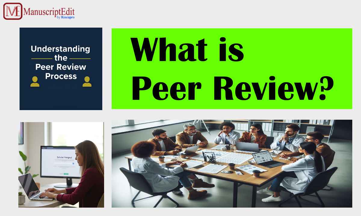 How Does the Peer Review Process Work?